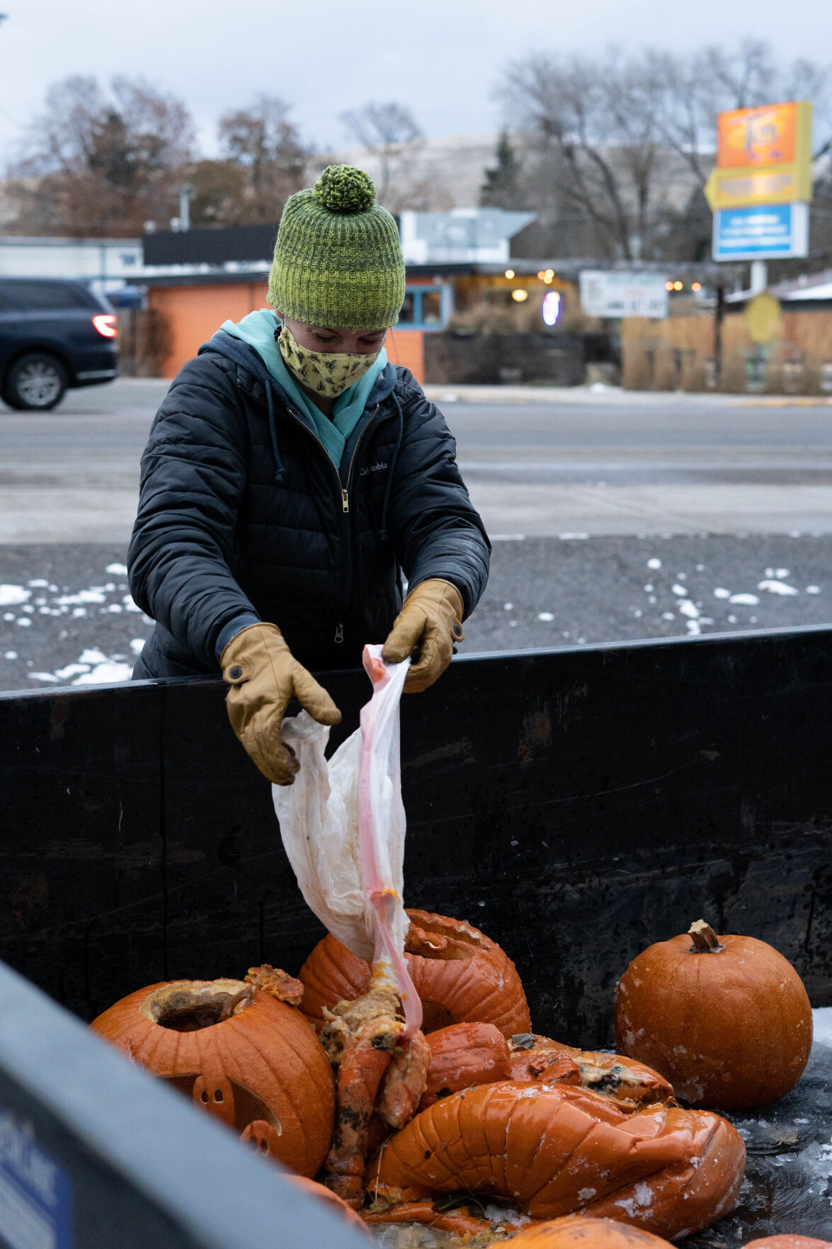 Pumpkin Re-harvest 06